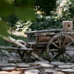 Фото Ботанический сад во Владивостоке, Приморский край, Россия